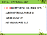人教版生物七年级上册1.3.3《植物体的结构层次》课件