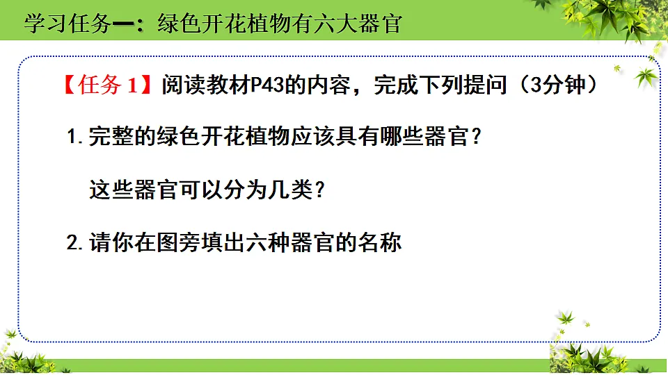 17352875第5页