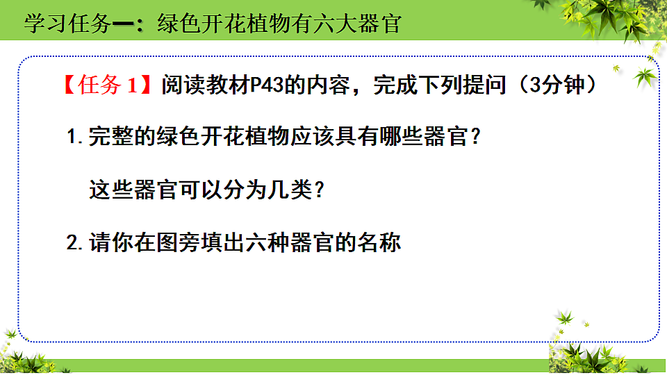 17352875第5页