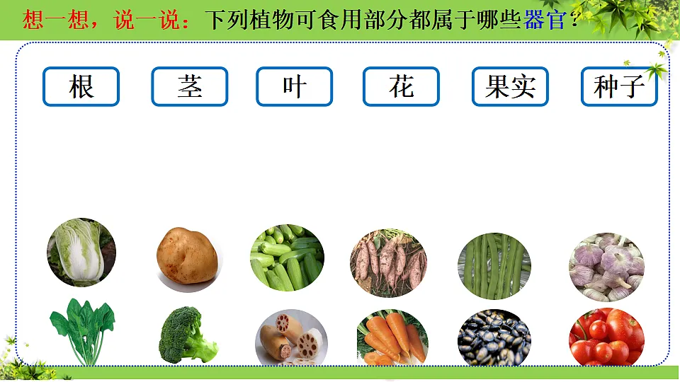 17352875第7页