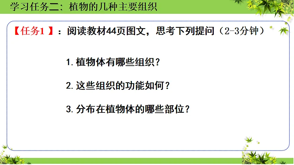 17352875第8页