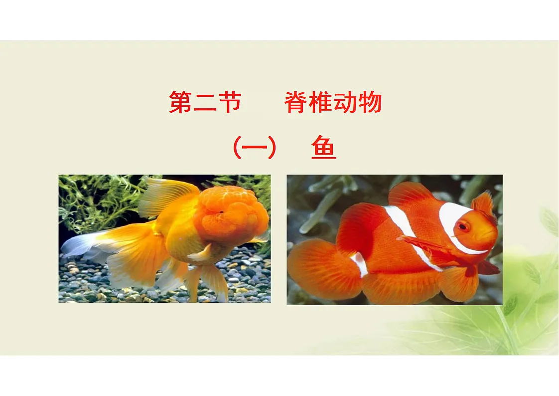 17352876第1页