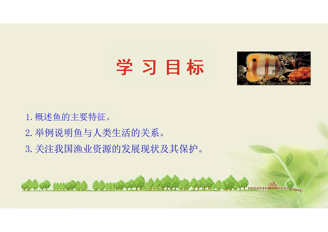 17352876第2页