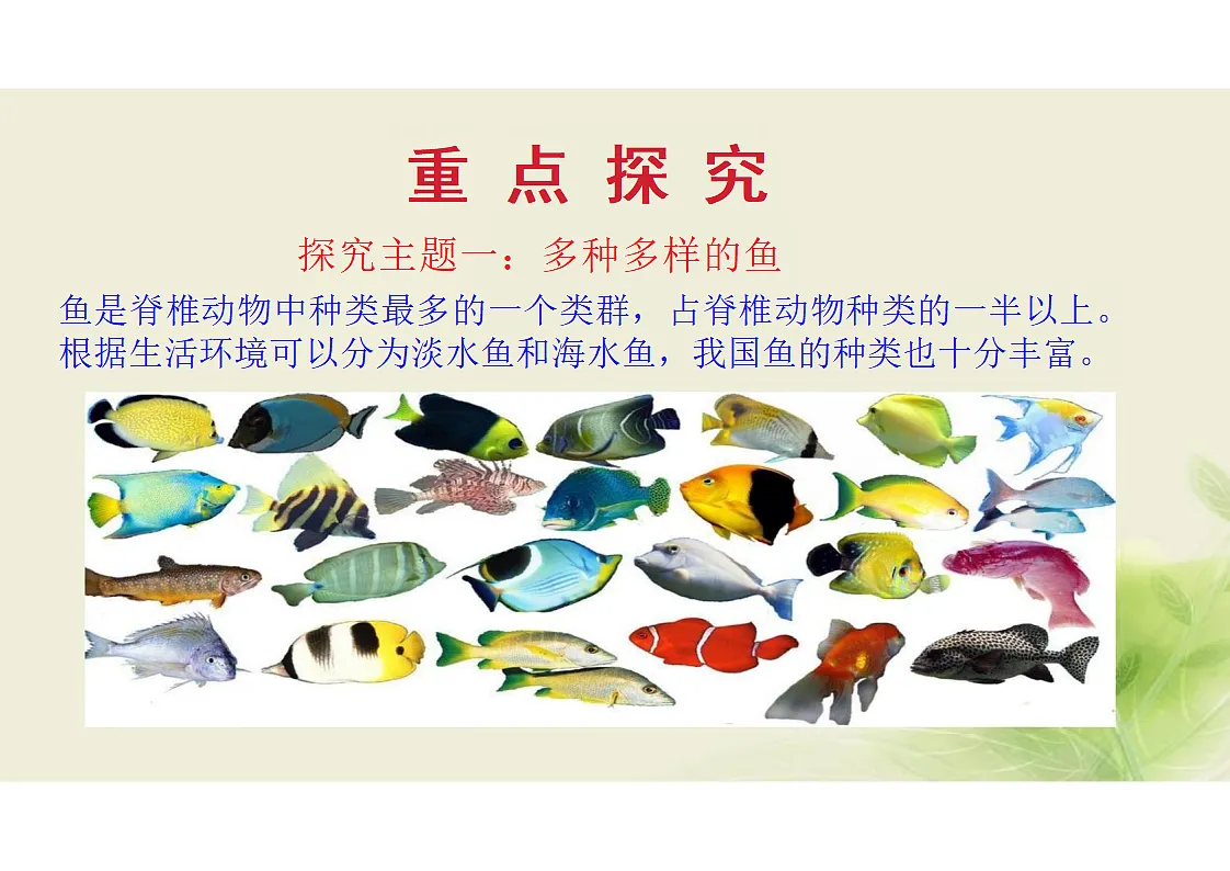 17352876第3页