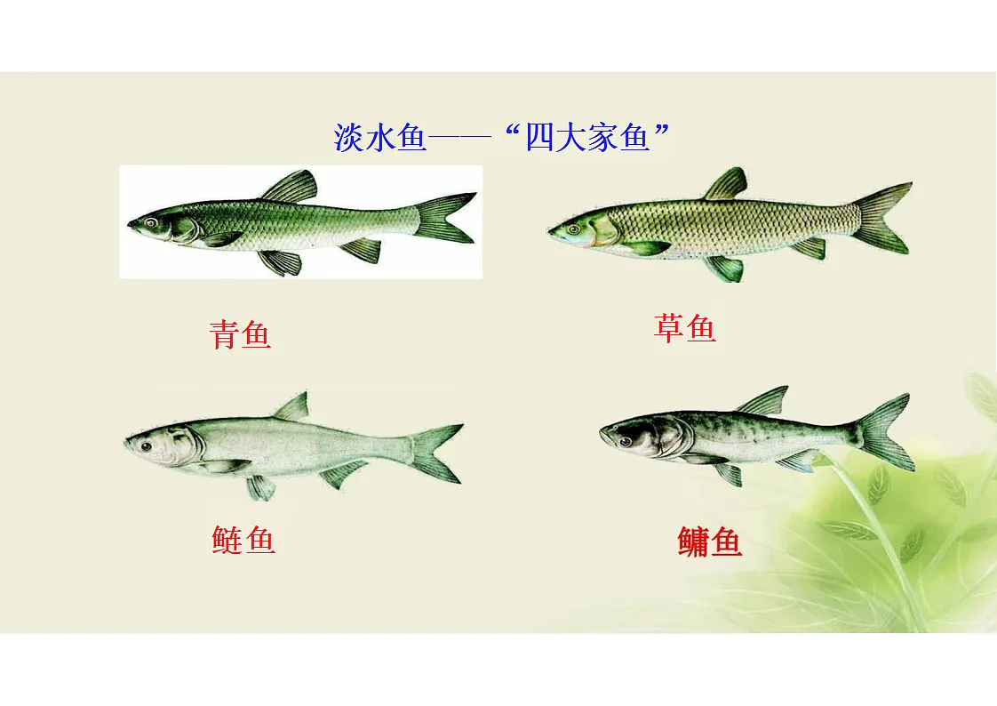 17352876第4页