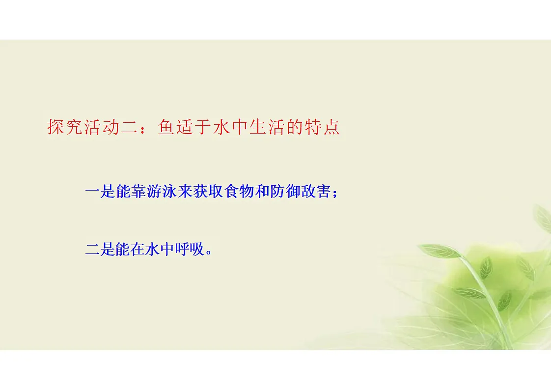 17352876第6页