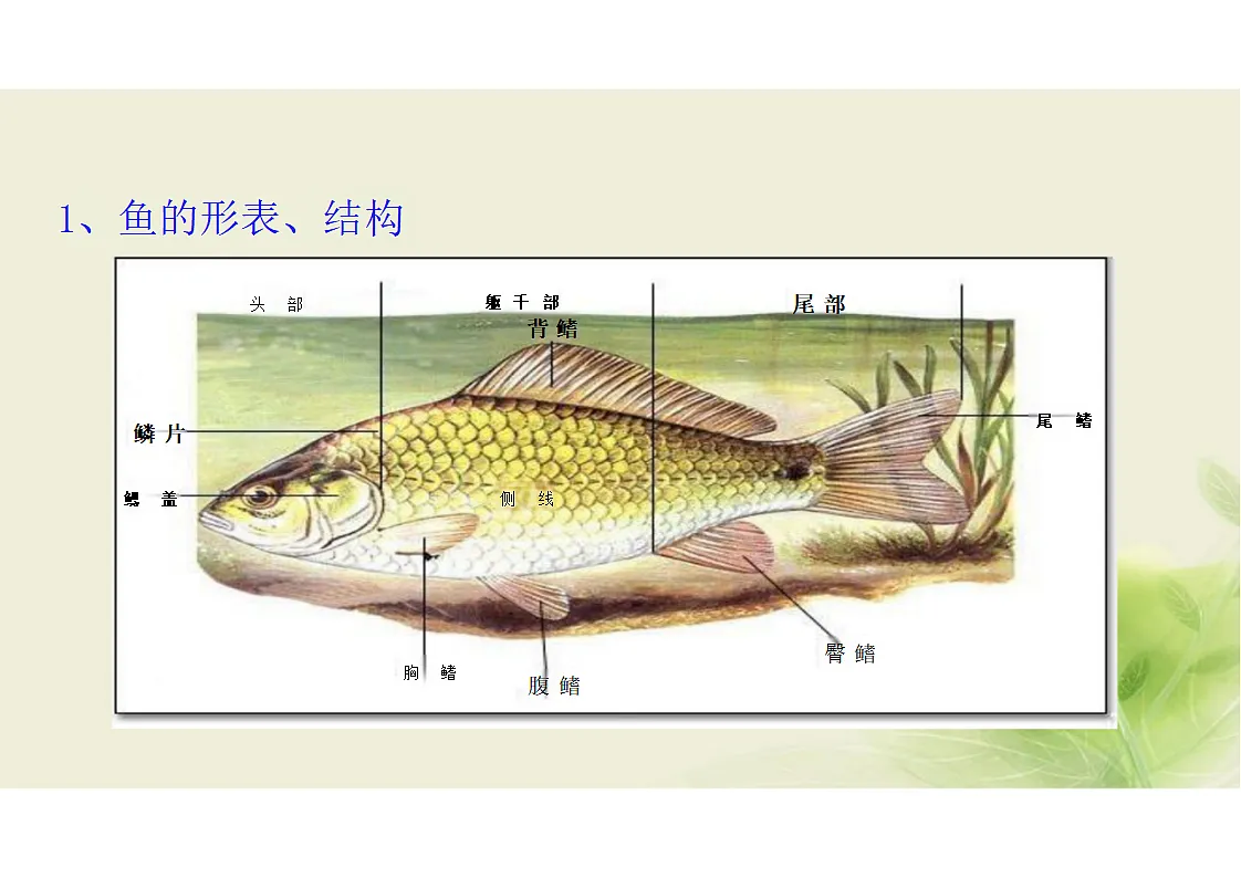 17352876第7页