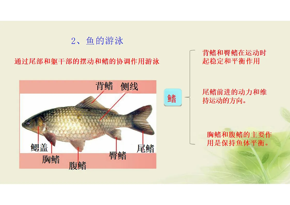 17352876第8页