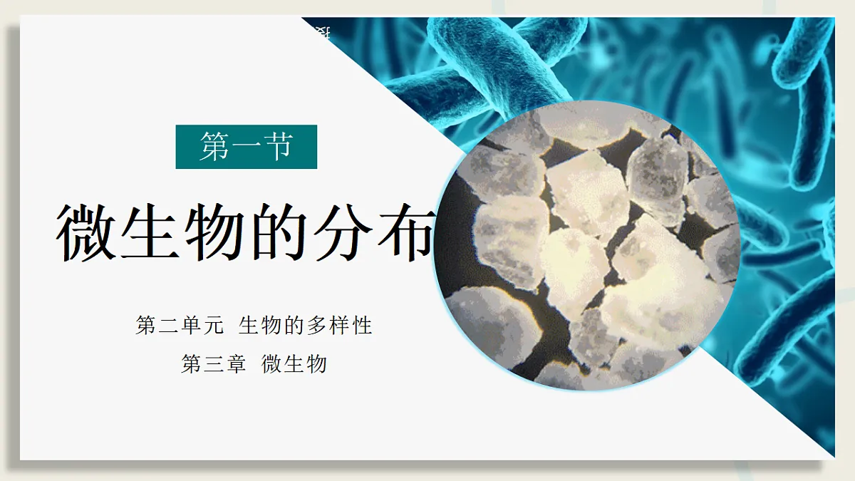 17352877第2页