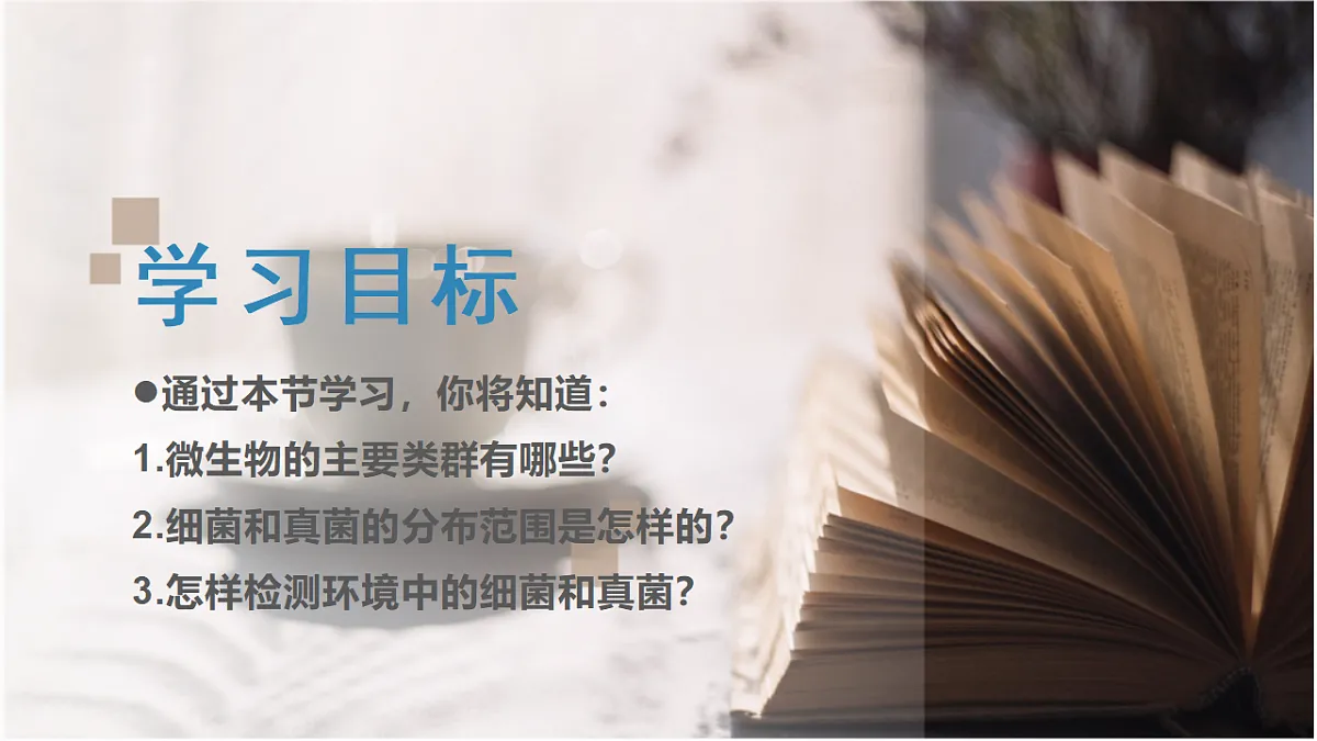 17352877第3页