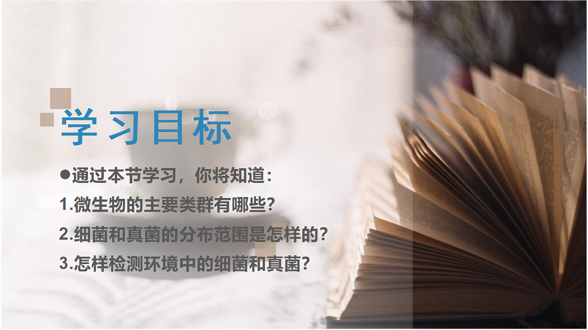 17352877第3页