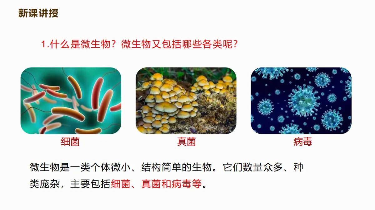 17352877第4页