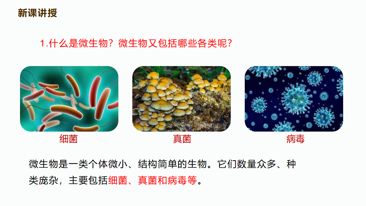 17352877第4页