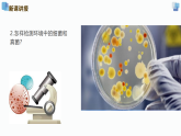 人教版生物七年级上册2.3.1《微生物的分布》课件