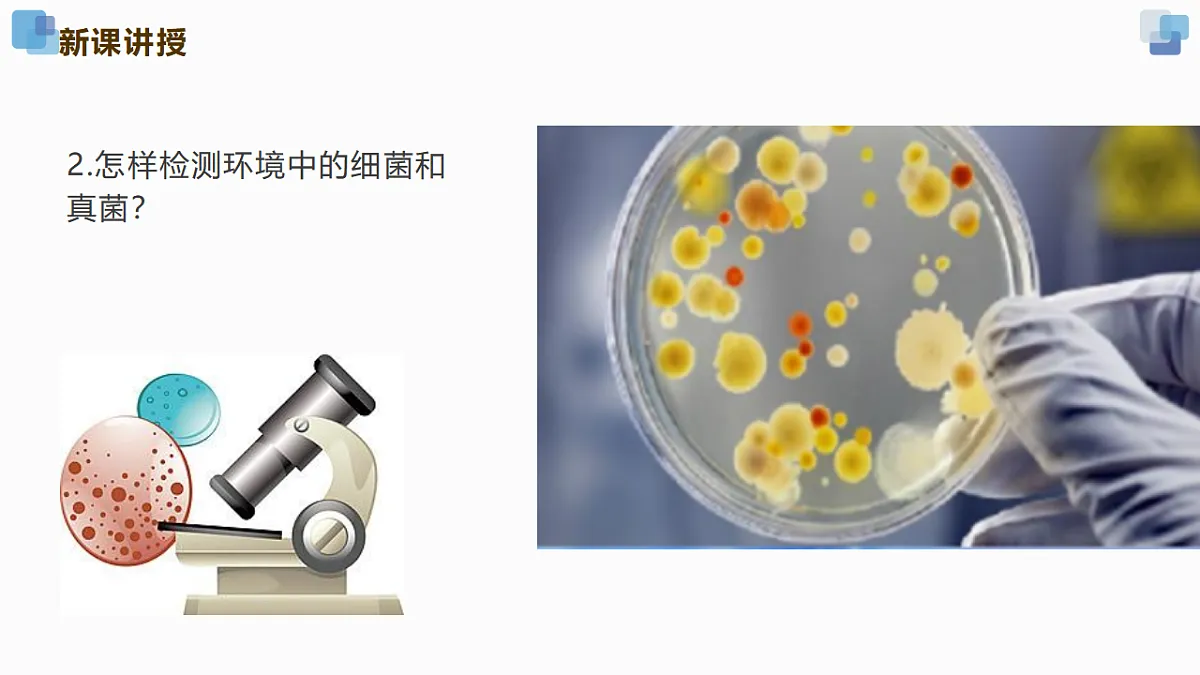 17352877第5页