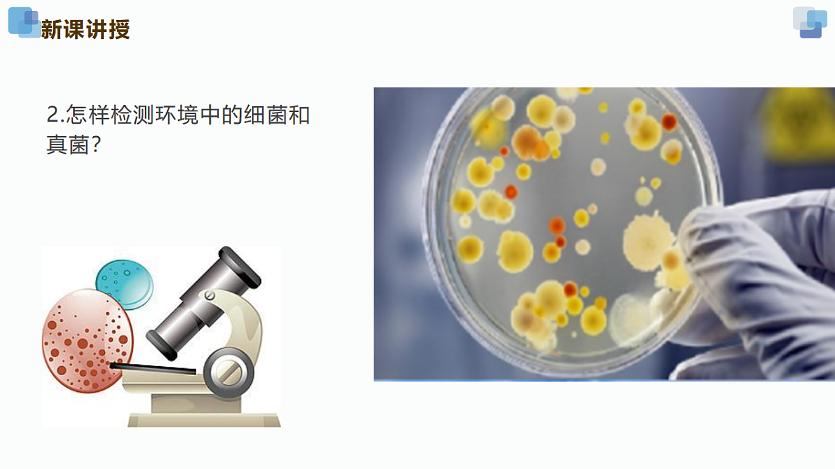 17352877第5页