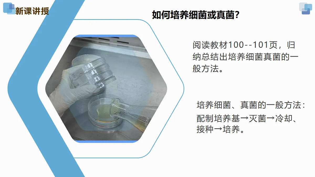 17352877第6页