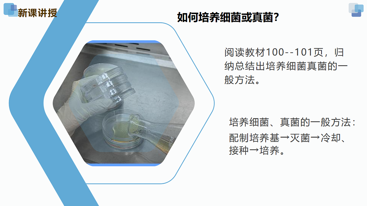 17352877第6页