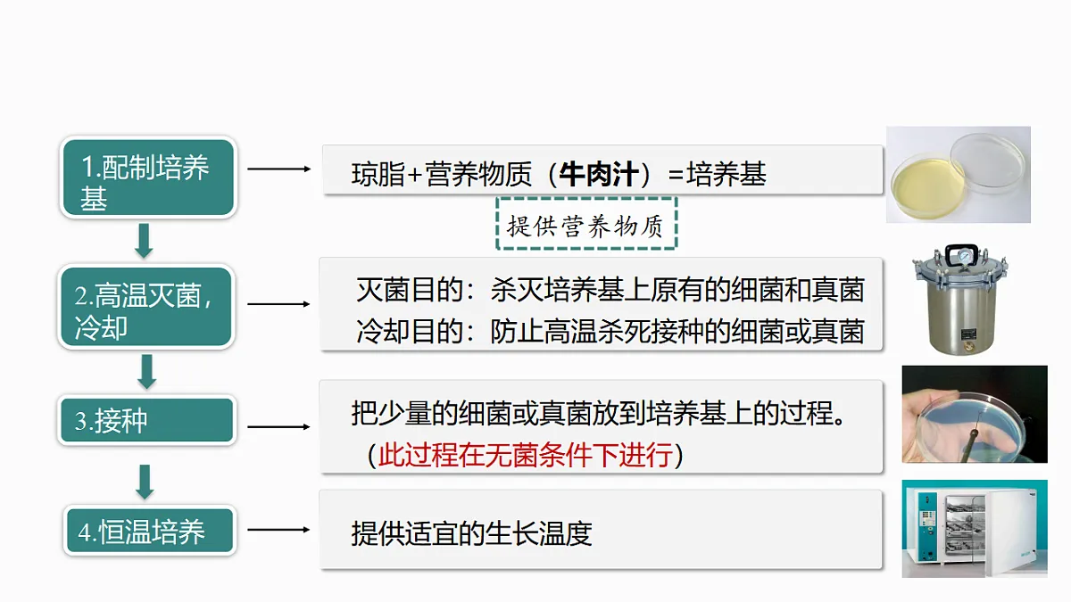17352877第7页