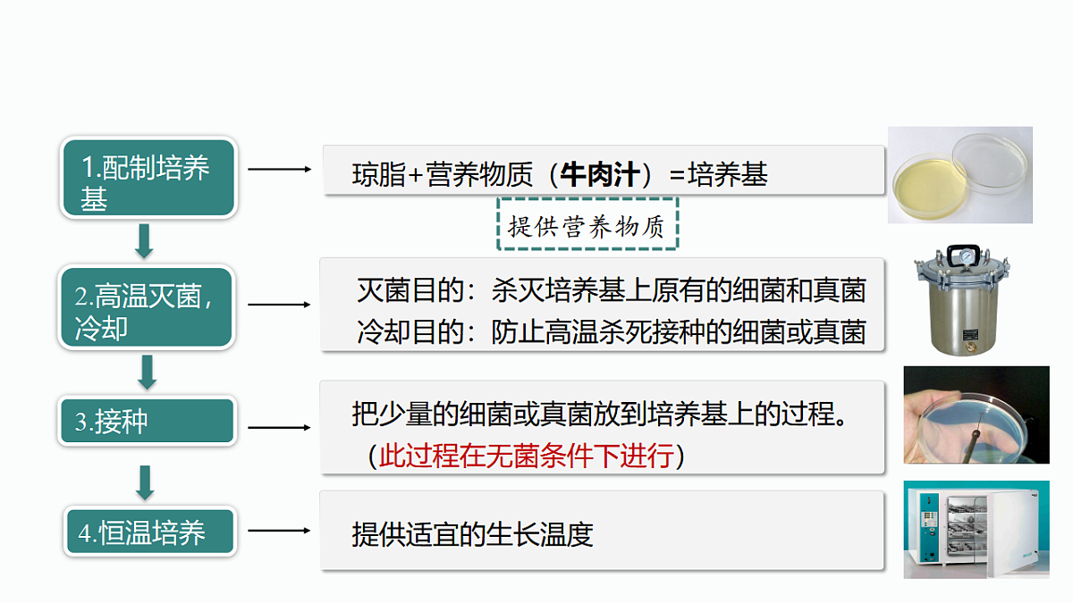17352877第7页