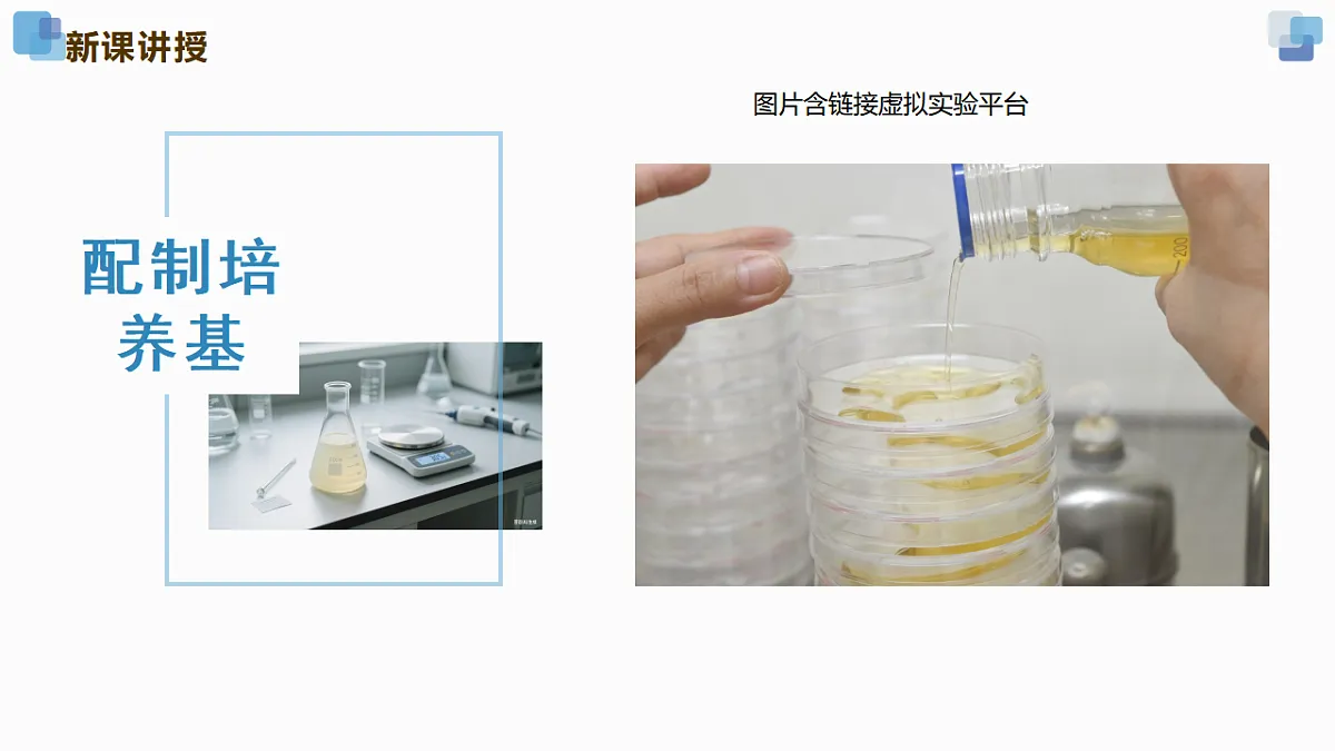 17352877第8页