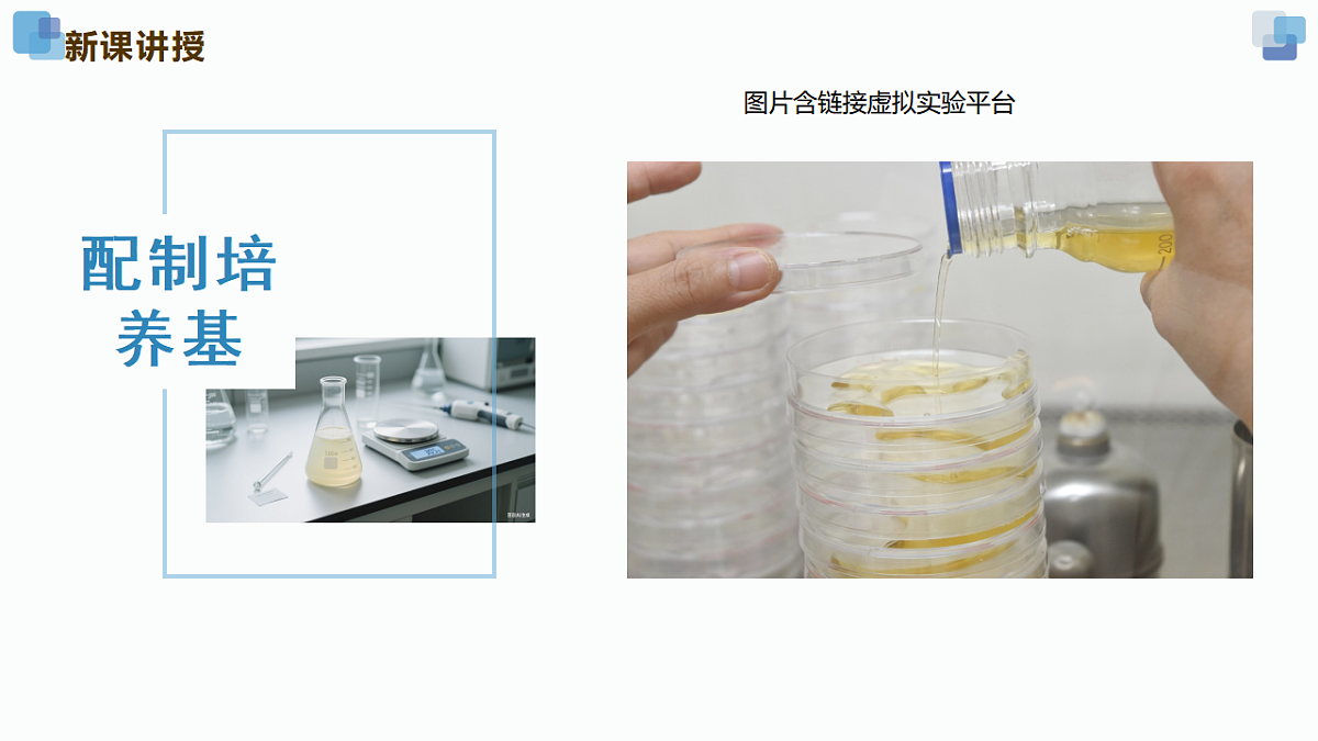17352877第8页
