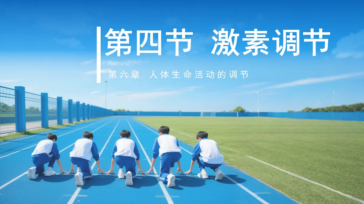 17352887第2页