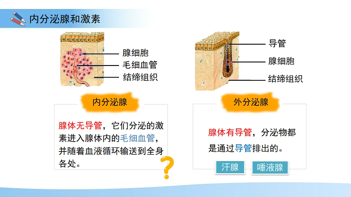 17352887第4页