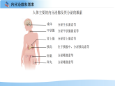 人教版生物八年级上册4.6.4《激素调节》教学课件