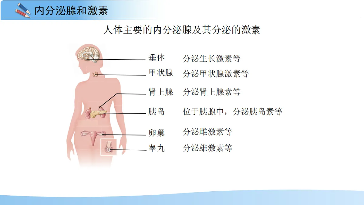 17352887第5页