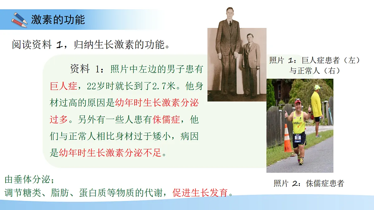 17352887第6页