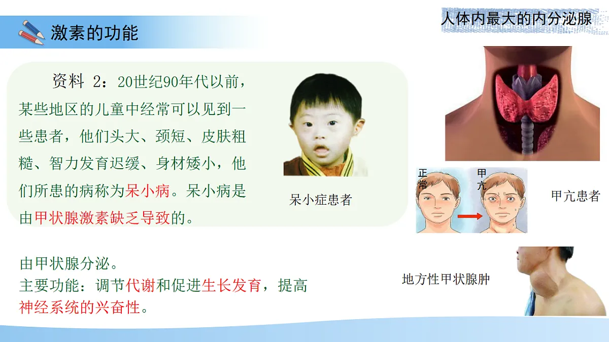 17352887第7页