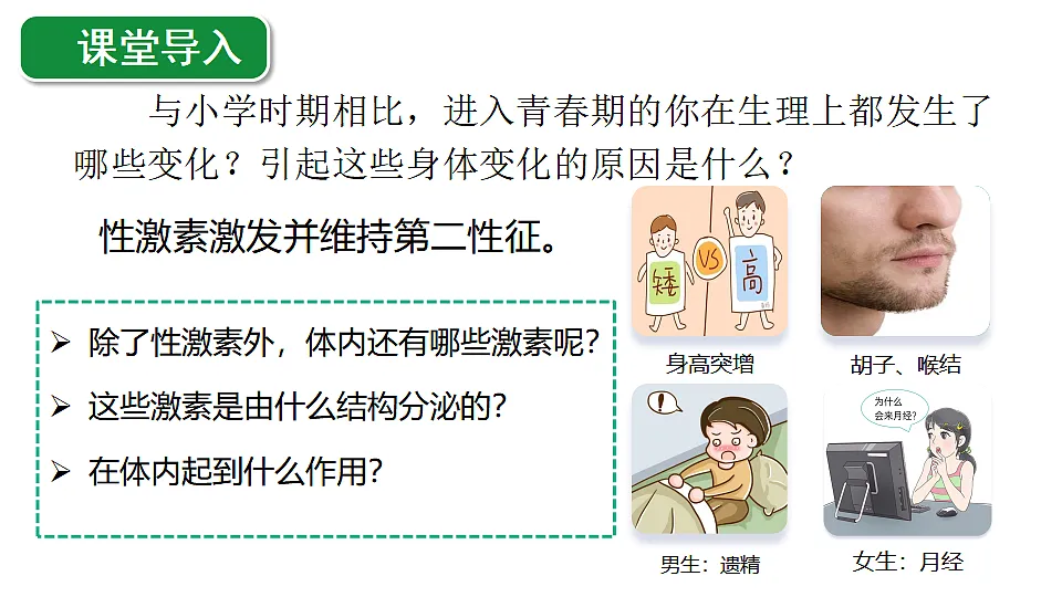 17352888第1页