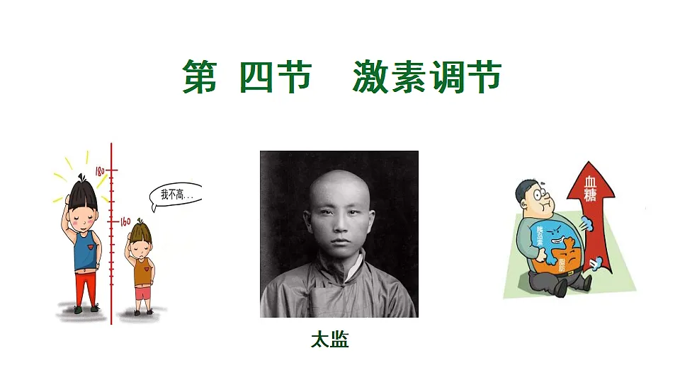 17352888第2页