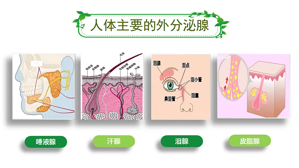 17352888第4页