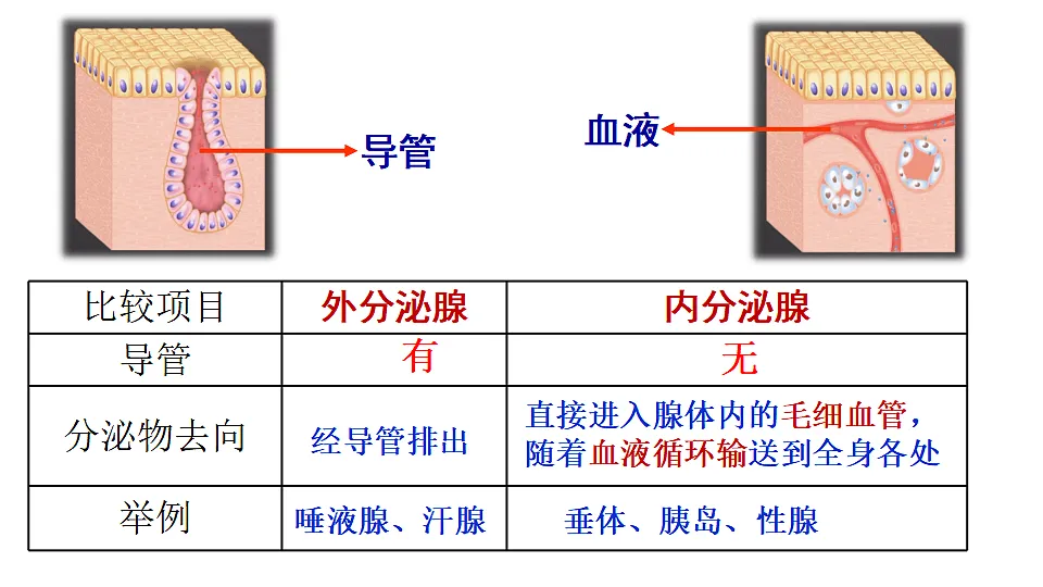 17352888第6页