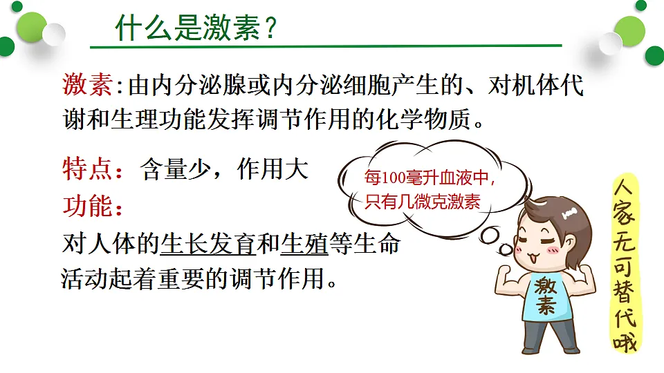 17352888第7页