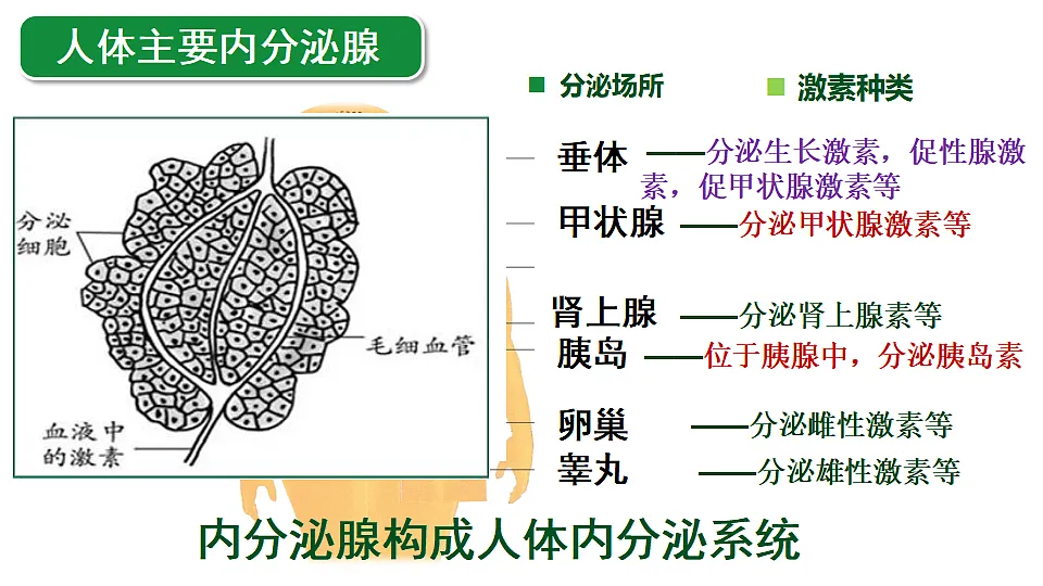 17352888第8页