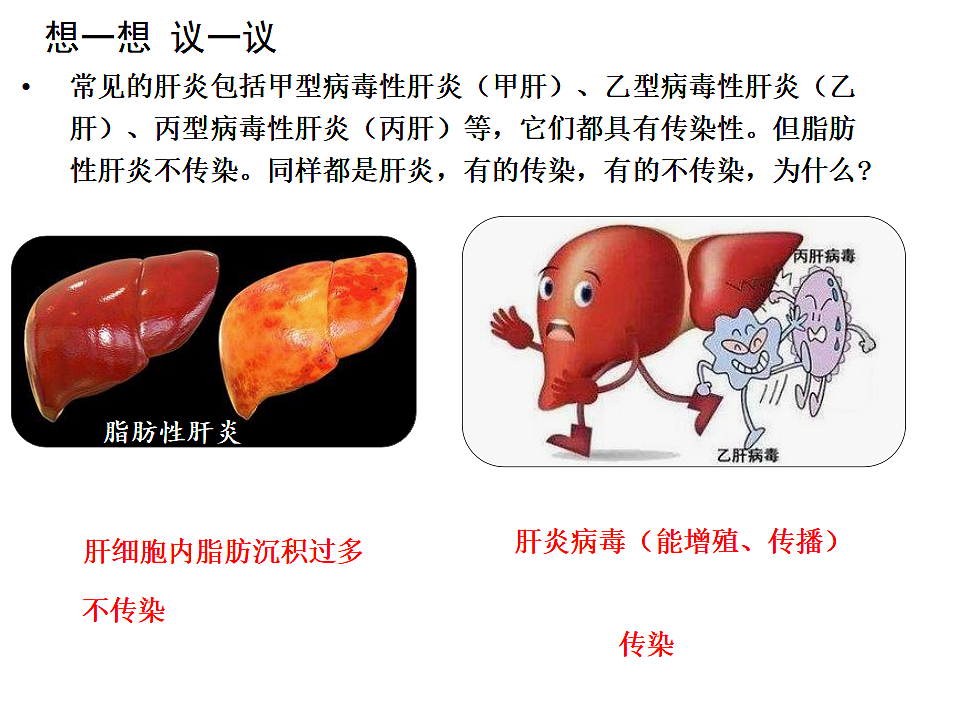 17352889第3页