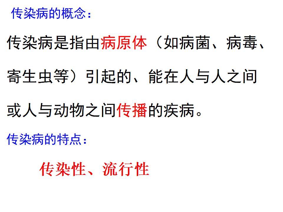 17352889第4页