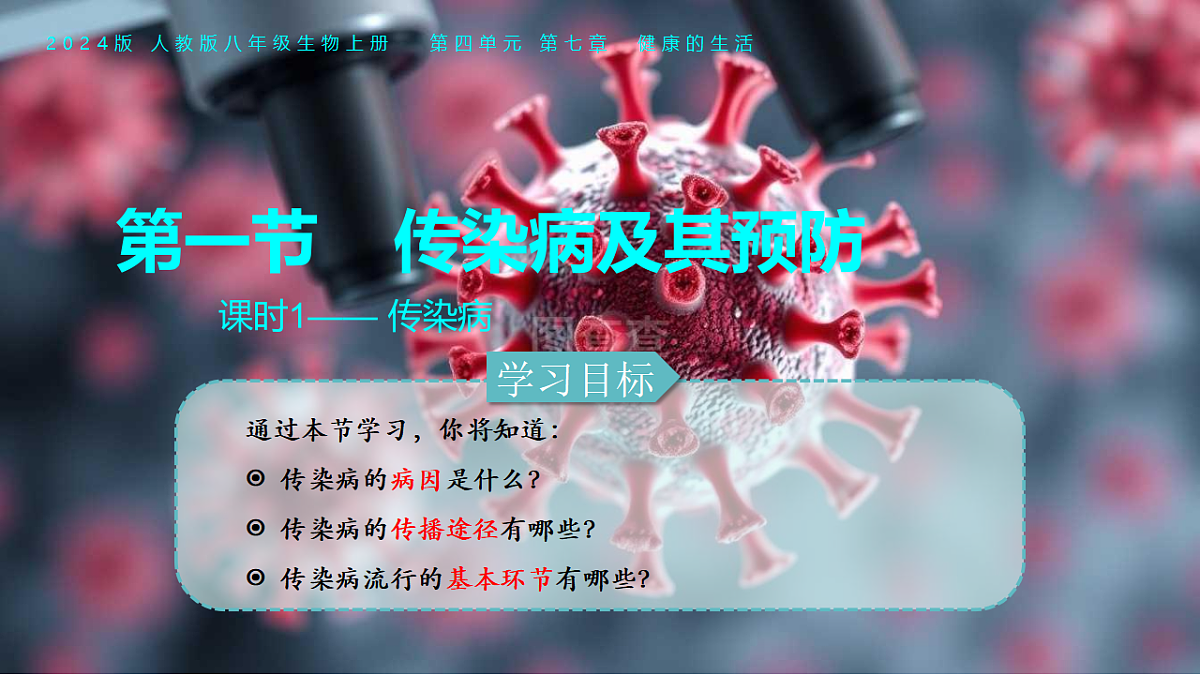 17352892第2页