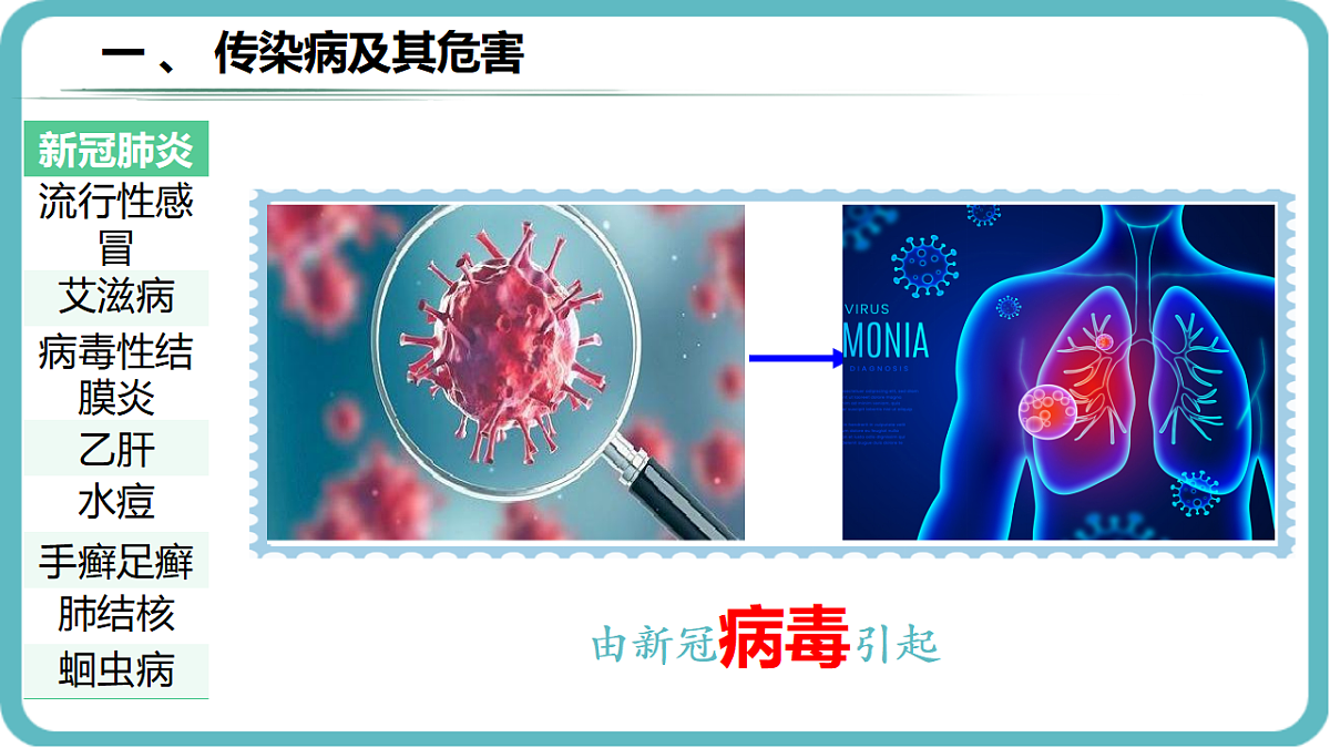 17352892第5页