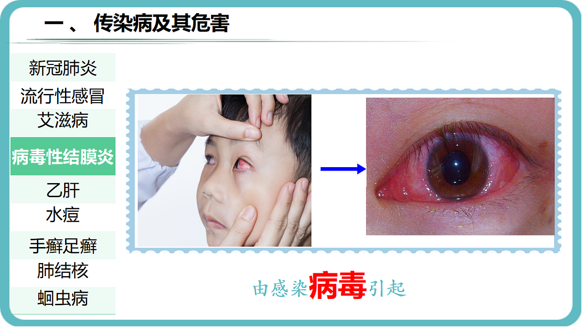 17352892第8页