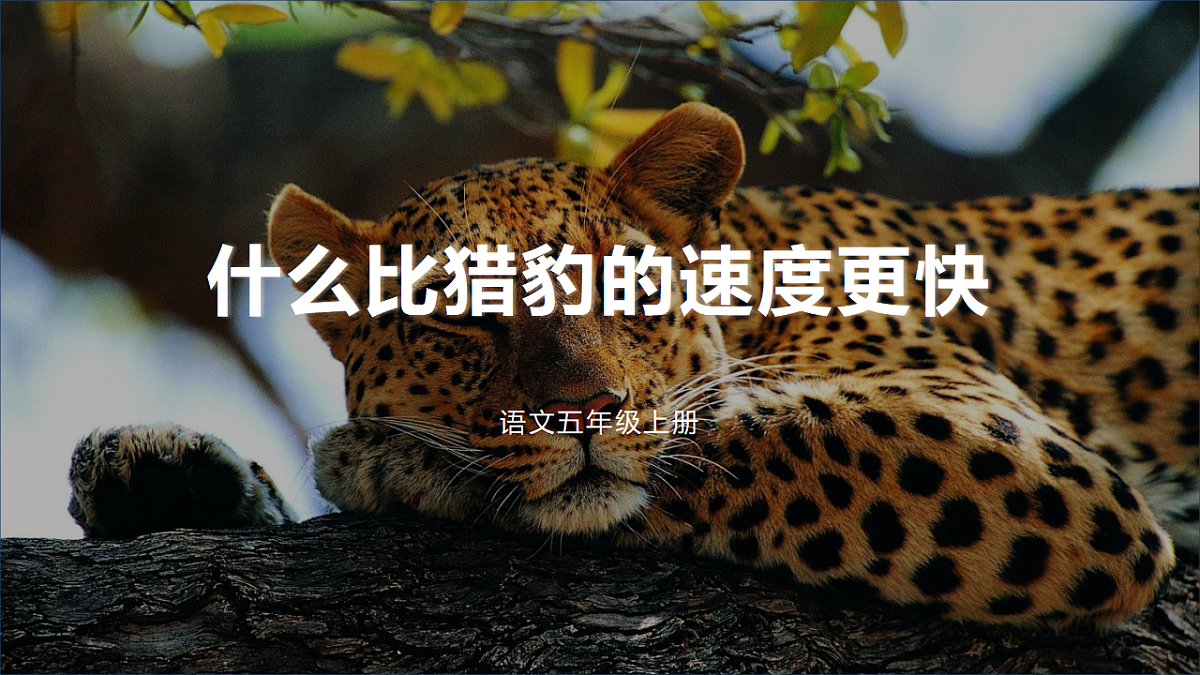 17352967第1页