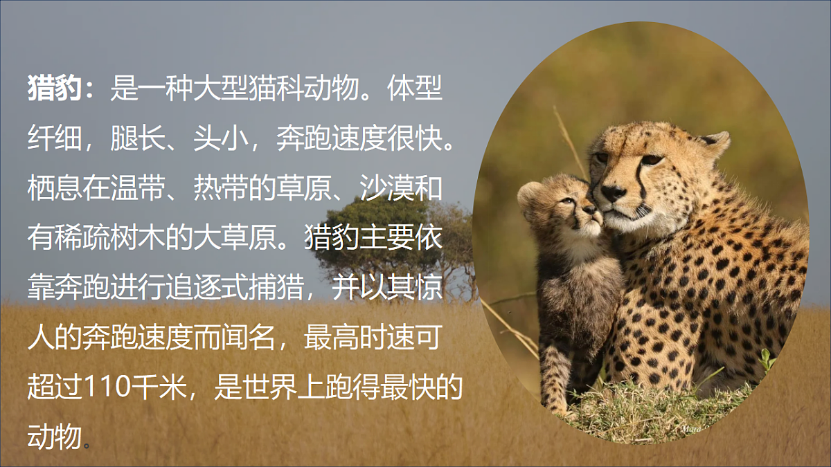 17352967第3页