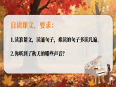 人教统编小学语文三年级上册第2单元《7.听听秋的声音》课件+教学设计