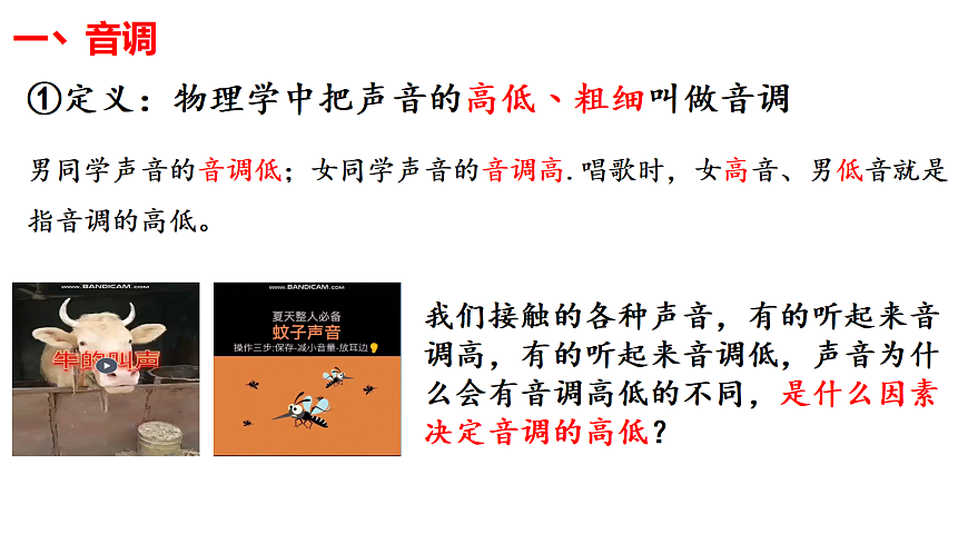17353109第3页