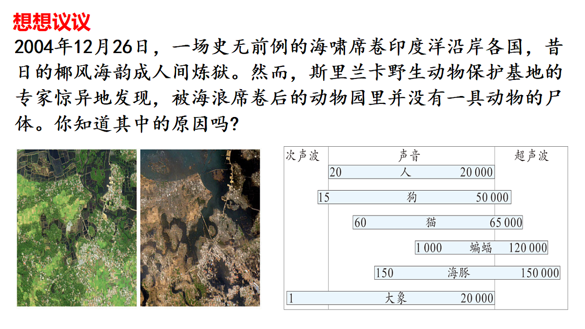 17353111第5页