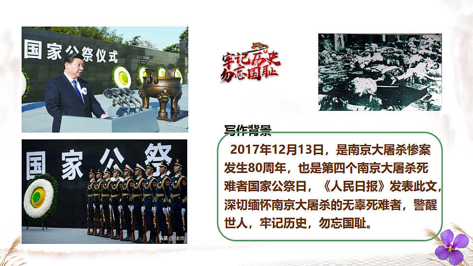 17353176第5页
