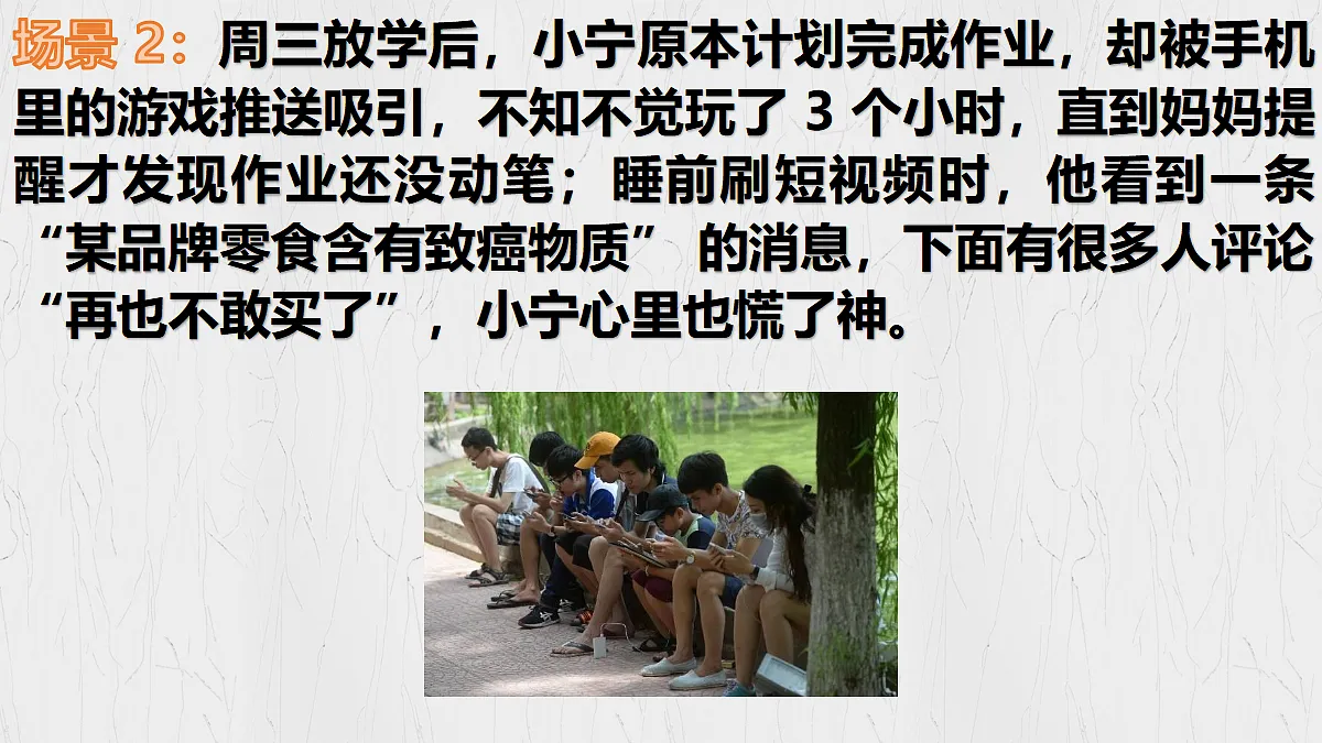 17353217第3页